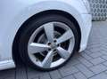 Volkswagen Polo 1.2 TSI Highline R-line Panoramadak Xenon Weiß - thumbnail 28