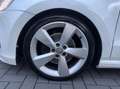 Volkswagen Polo 1.2 TSI Highline R-line Panoramadak Xenon Weiß - thumbnail 27