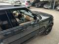Land Rover Range Rover 4,4 SD V8 Autobiography Schwarz - thumbnail 16