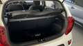 Kia Picanto 1.0 DPi Concept Blanco - thumbnail 3
