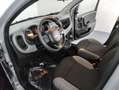 Fiat Panda 1.0 FireFly S&S Hybrid City Life Grigio - thumbnail 13