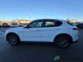 Alfa Romeo Stelvio 2.2 t Business Q4 190cv auto Blanc - thumbnail 5