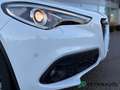 Alfa Romeo Stelvio 2.2 t Business Q4 190cv auto Blanc - thumbnail 14