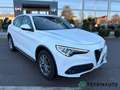 Alfa Romeo Stelvio 2.2 t Business Q4 190cv auto Blanc - thumbnail 3