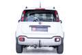 Fiat Panda Cross 4x4 Weiß - thumbnail 7