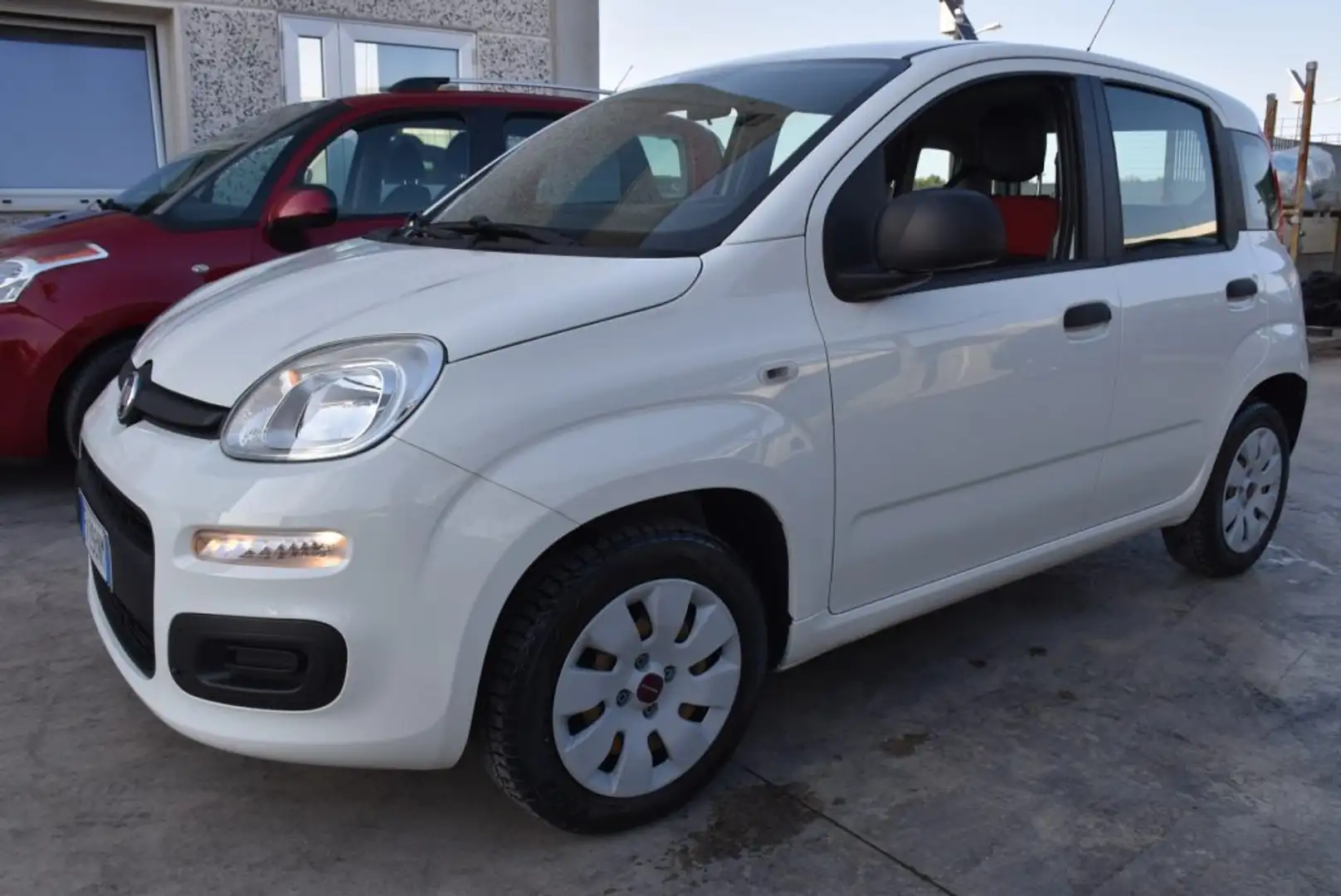 Fiat Panda 1.2 Pop Bianco - 1
