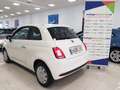 Fiat 500 Cult 1.0 Hybrid 51KW (70 CV) Blanco - thumbnail 3