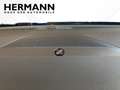 Ford Focus 2.3 EcoBoost S/S ST X *LED*NAVI*SYNC*TWA Blau - thumbnail 19