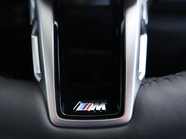 BMW X1 xDrive20d M-Sport inkl 0,99% Fixzins Leasing und B Ansicht 32