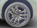 CUPRA Terramar 1.5 e-Hybrid Americas Cup Limited Grau - thumbnail 17