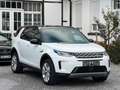 Land Rover Discovery Sport SE AWD*1.Hand*RFK*LED* Weiß - thumbnail 1