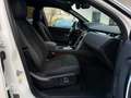 Land Rover Discovery Sport SE AWD*1.Hand*RFK*LED* Weiß - thumbnail 14