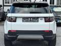 Land Rover Discovery Sport SE AWD*1.Hand*RFK*LED* Weiß - thumbnail 5