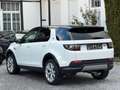 Land Rover Discovery Sport SE AWD*1.Hand*RFK*LED* Weiß - thumbnail 4