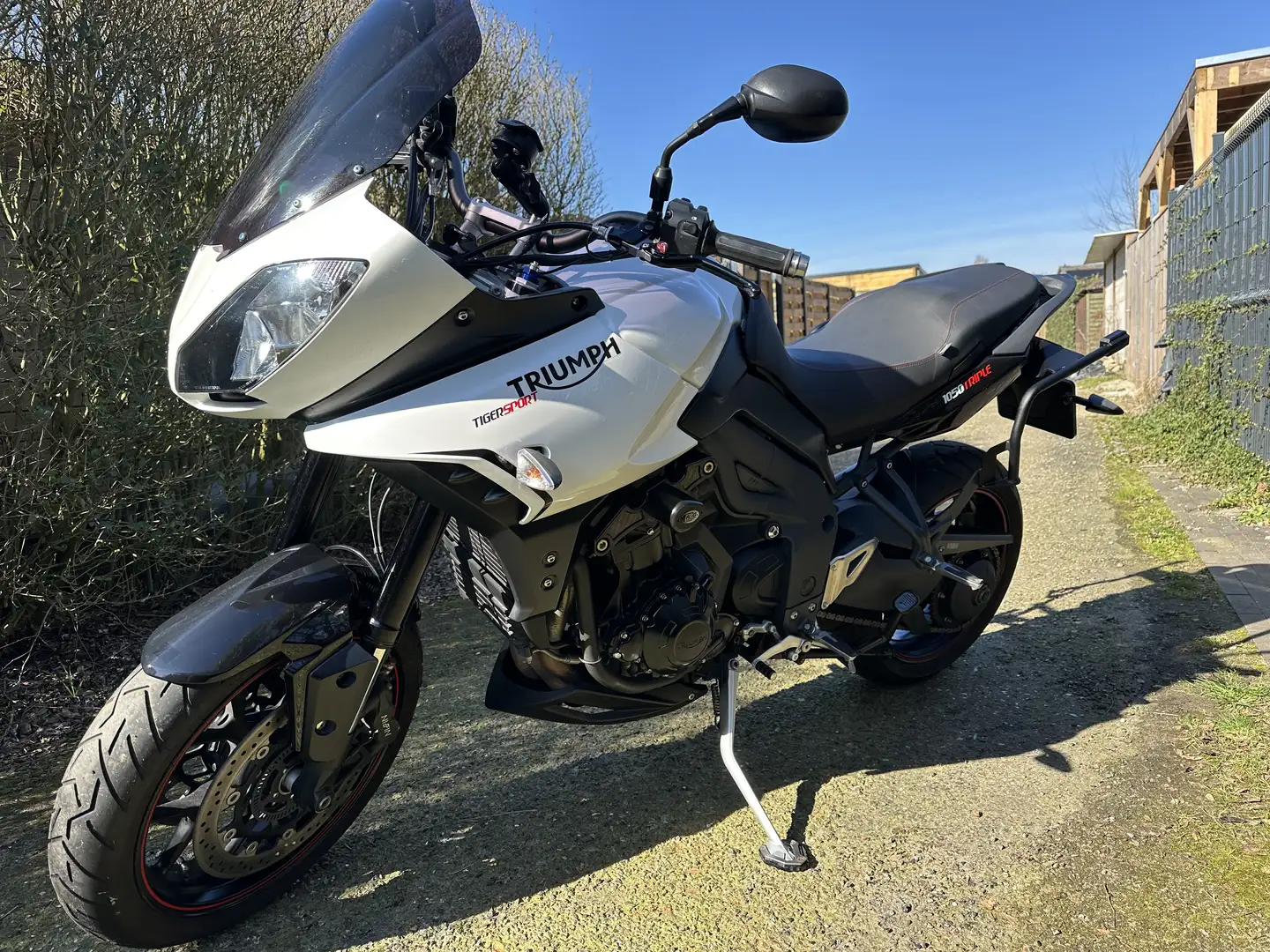 Triumph Tiger 1050 Sport - 1