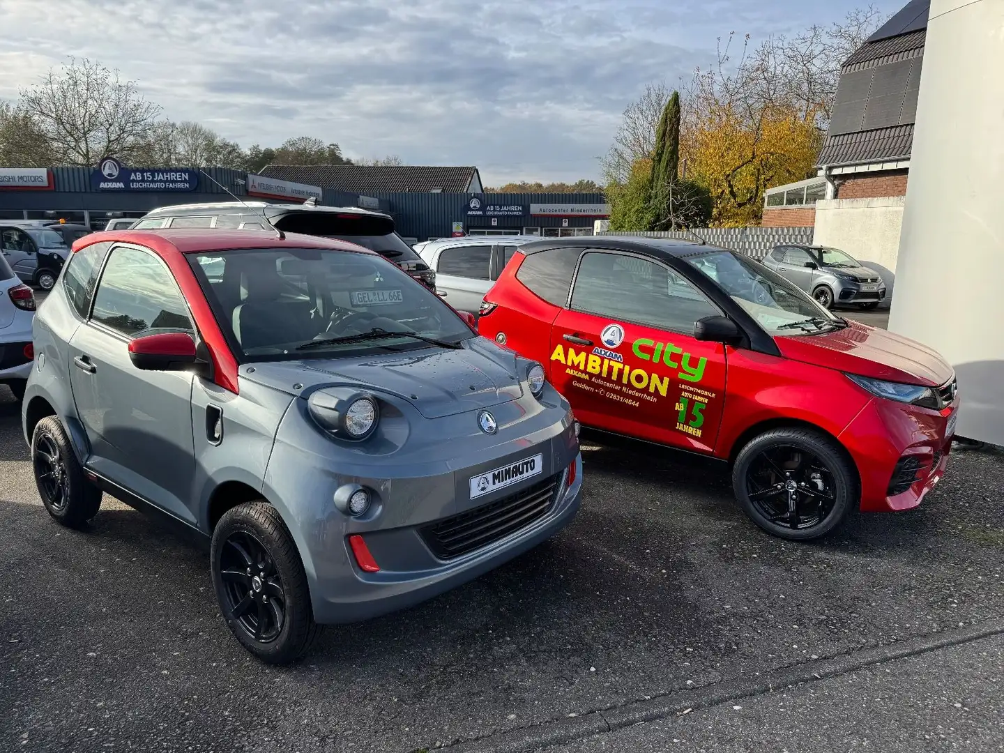 Aixam eMinauto Chic Grau - 1