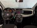 Fiat Panda 1.0 HYBRID 70CV CITY CROSS Nero - thumbnail 7
