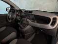 Fiat Panda 1.0 HYBRID 70CV CITY CROSS Nero - thumbnail 11