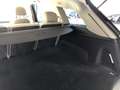 Audi Q7 Q7 II 3.0 tdi quattro tiptronic 5 posti Beige - thumbnail 15