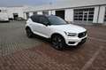 Volvo XC40 T3 R Design *PANO*RFK*H&K*Leder* Weiß - thumbnail 4