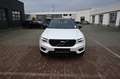 Volvo XC40 T3 R Design *PANO*RFK*H&K*Leder* Weiß - thumbnail 3