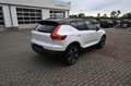 Volvo XC40 T3 R Design *PANO*RFK*H&K*Leder* Weiß - thumbnail 6