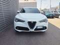 Alfa Romeo Stelvio 2.2 Turbodiesel 210 CV AT8 Q4 Executive Bianco - thumbnail 2