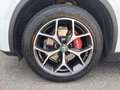 Alfa Romeo Stelvio 2.2 Turbodiesel 210 CV AT8 Q4 Executive Bianco - thumbnail 6
