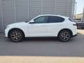 Alfa Romeo Stelvio 2.2 Turbodiesel 210 CV AT8 Q4 Executive Bianco - thumbnail 3