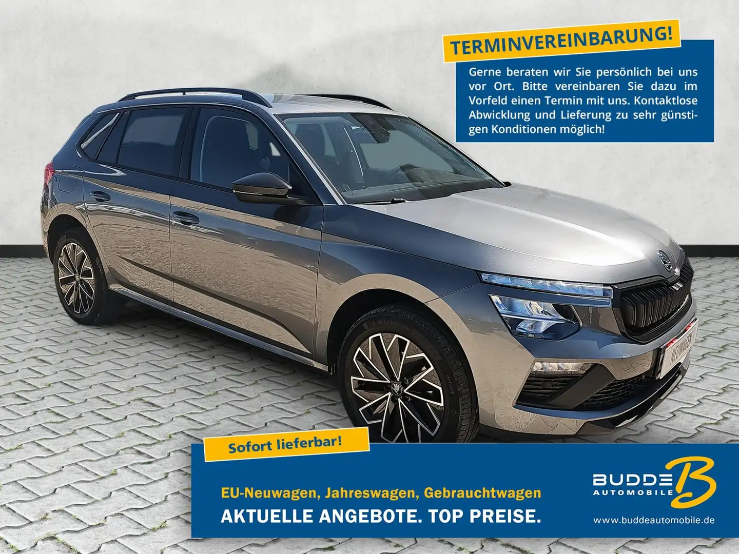 Skoda Kamiq 1.0 TSI DSG Selection Kamera / Kessy / 17" Grau - 1