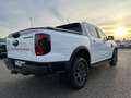 Ford Ranger 2.0 Wildtrak e-4WD *360/Rollo E/B&O/TEC46 Weiß - thumbnail 5
