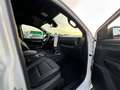 Ford Ranger 2.0 Wildtrak e-4WD *360/Rollo E/B&O/TEC46 Weiß - thumbnail 11