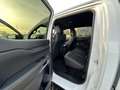 Ford Ranger 2.0 Wildtrak e-4WD *360/Rollo E/B&O/TEC46 Weiß - thumbnail 10