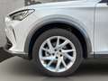 CUPRA Formentor 1.5 TSI elekt. Sitze Rückfahrkamera Weiß - thumbnail 20