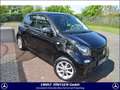 smart forFour forfour passion (66kW) NAVI KLIMA Schwarz - thumbnail 1