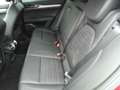 Alfa Romeo Stelvio Stelvio 2.2 Turbodiesel 190 CV AT8 Q4 Sprint Rot - thumbnail 21