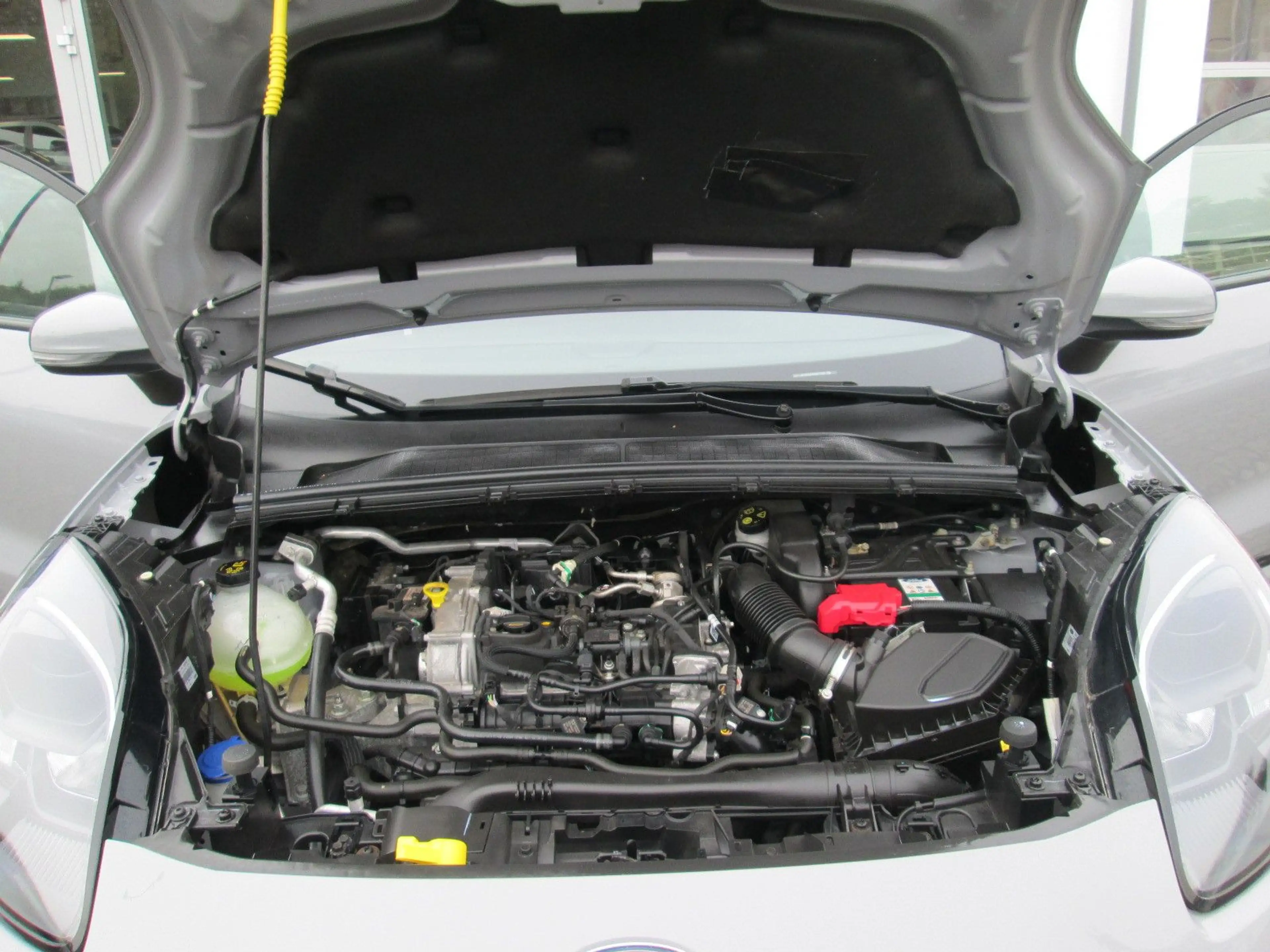 Ford Puma ST-Line X — photo 9