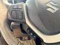 Suzuki S-Cross Allgrip Flash Grau - thumbnail 19