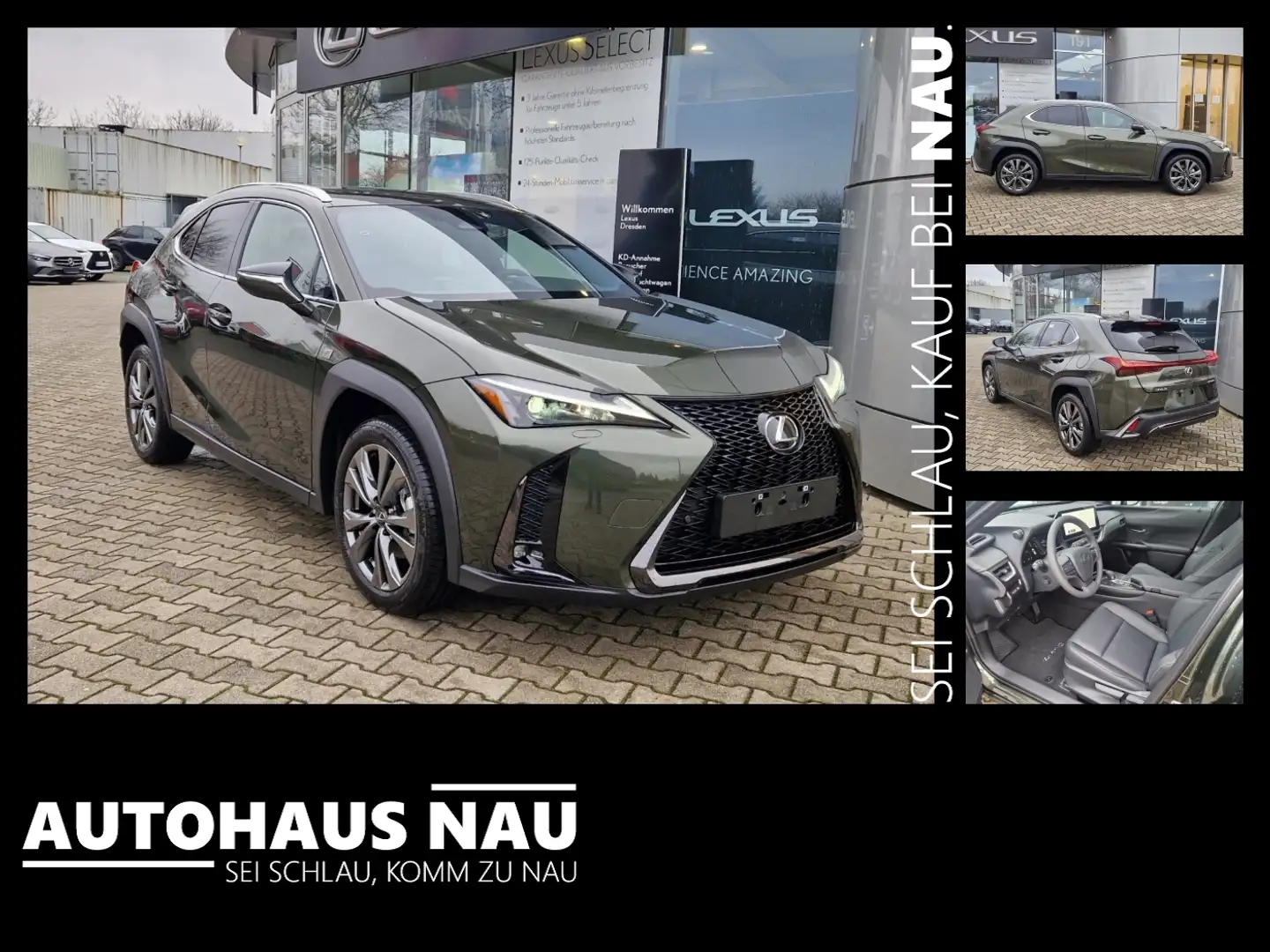 Lexus UX 300e UX 300h F Sport Design ACC FLA SpurH LM Verde - 1
