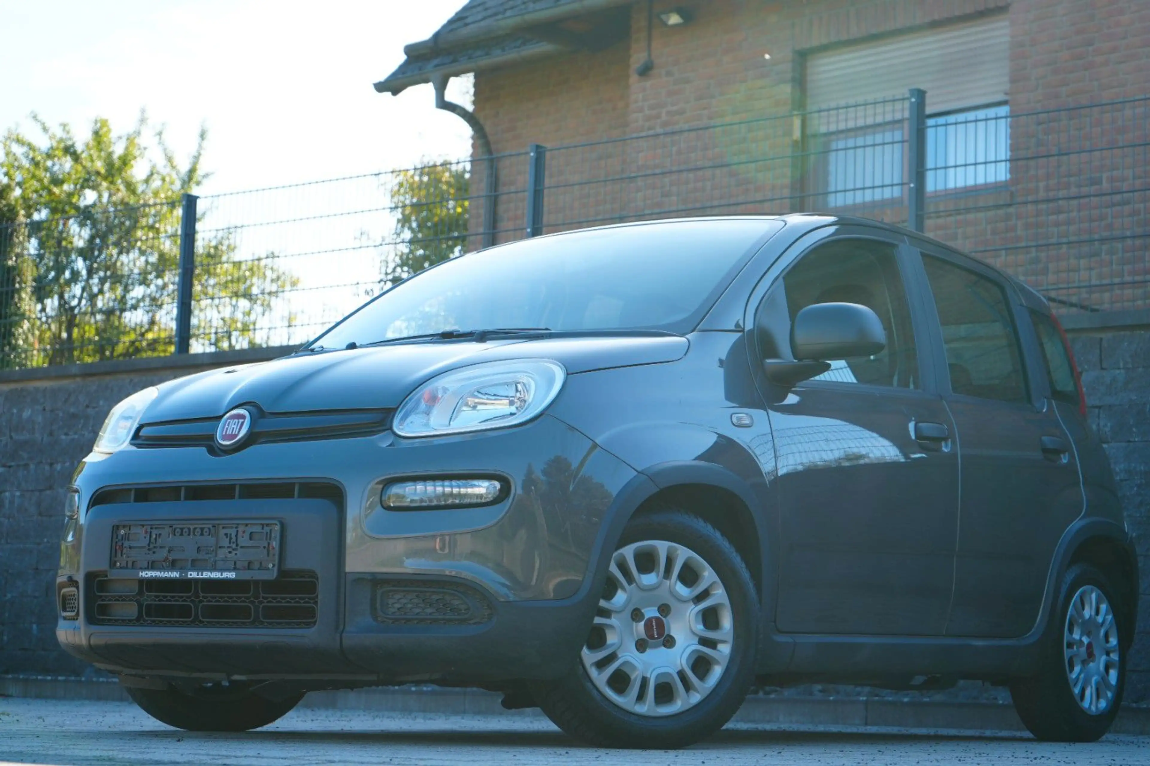 Fiat Panda 1.0 Mild-Hybrid 1.Hand/Klima/Dab+