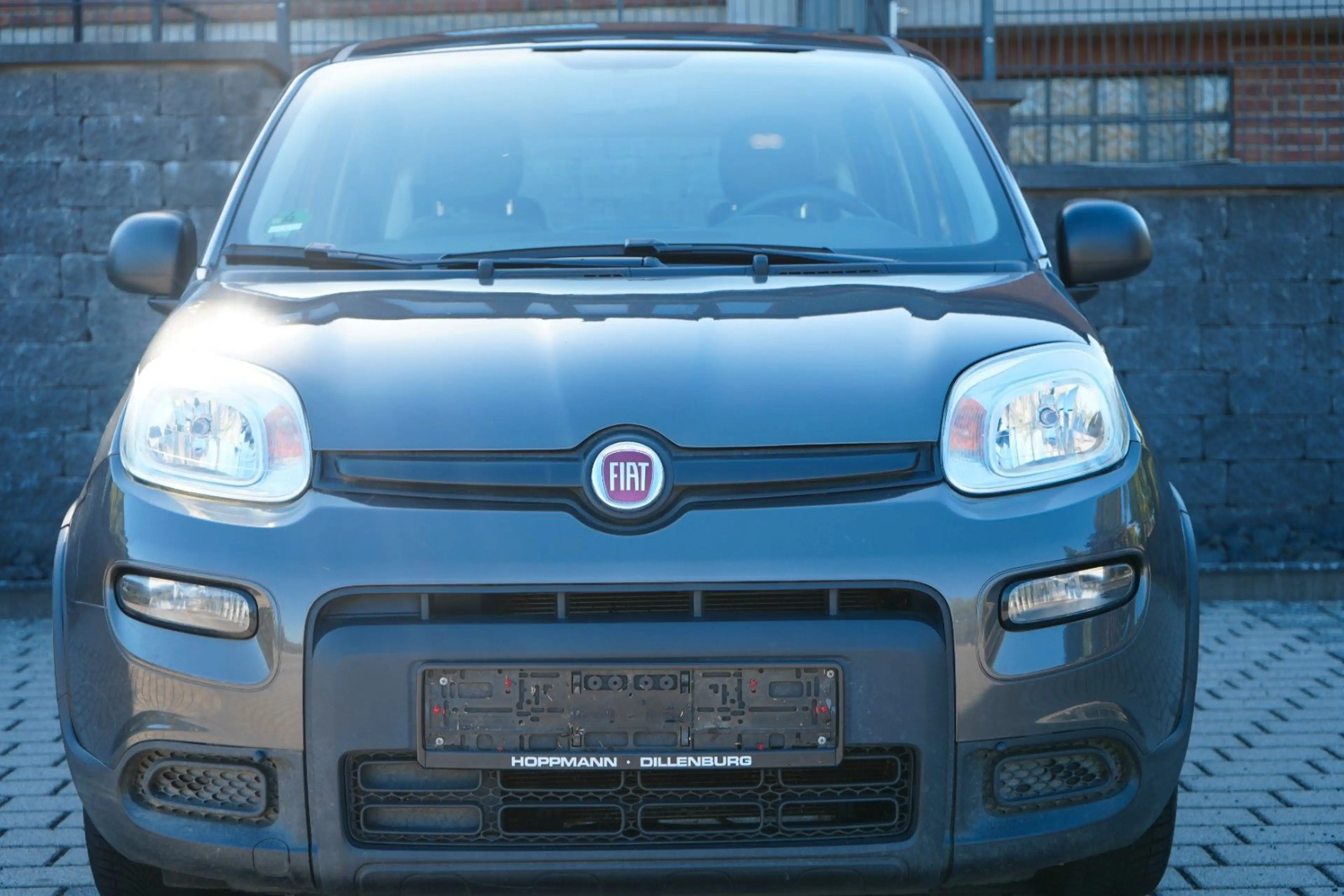 Fiat Panda 1.0 Mild-Hybrid 1.Hand/Klima/Dab+ — photo 2
