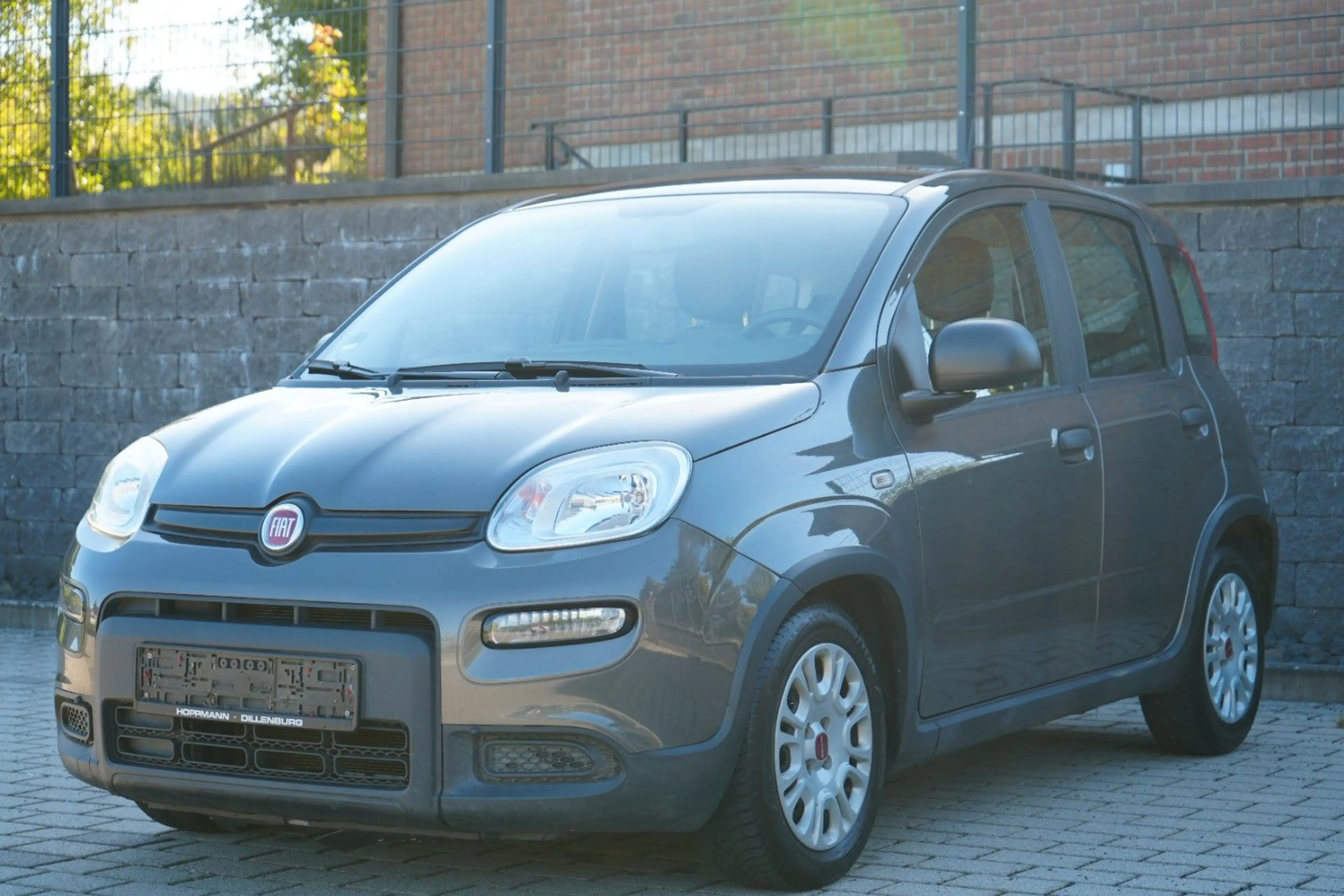 Fiat Panda 1.0 Mild-Hybrid 1.Hand/Klima/Dab+ — photo 3