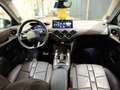 DS Automobiles DS 3 DS 3 Étoile HDI130 EAT8 Grau - thumbnail 9