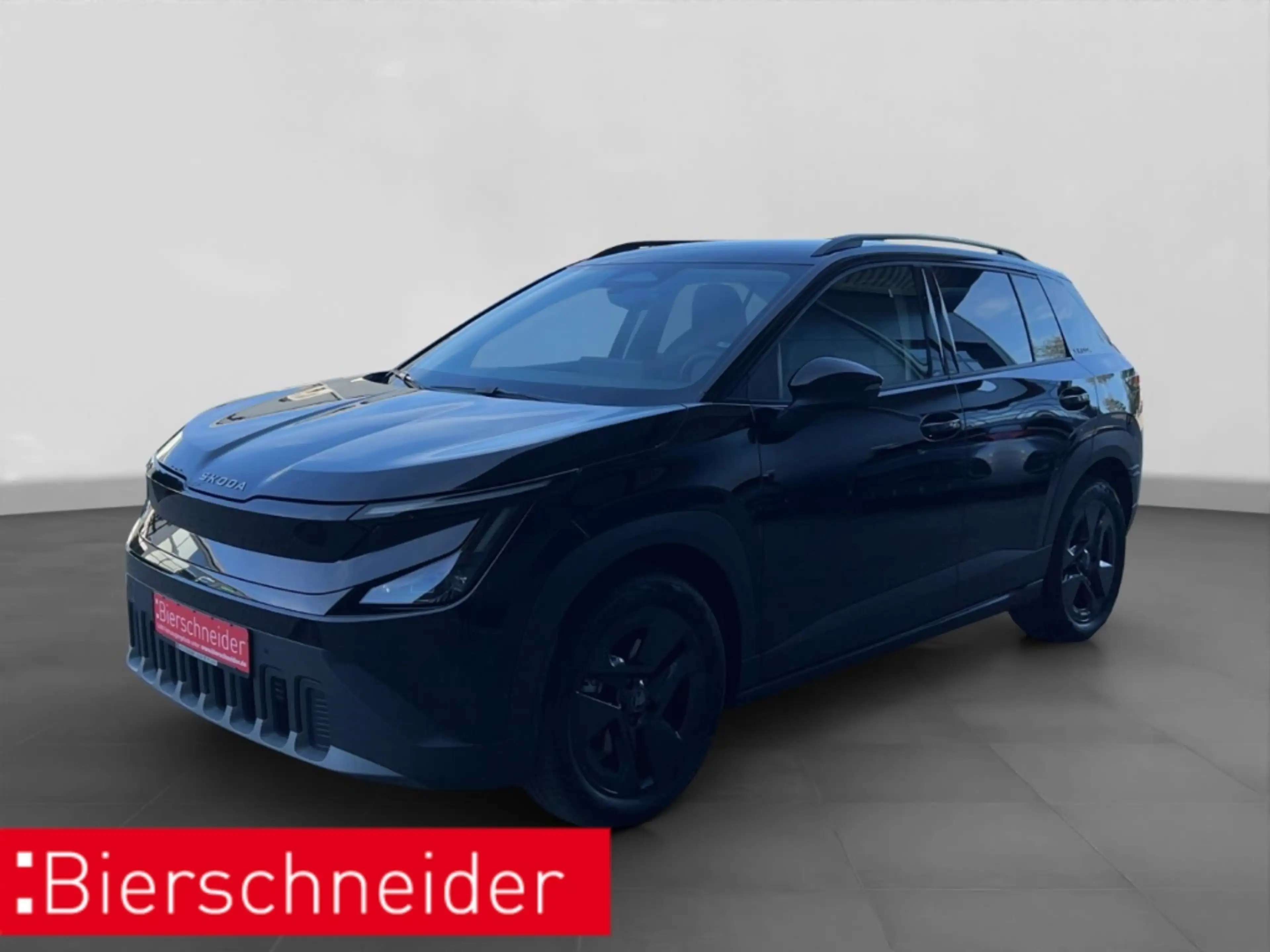 Skoda Epiq 55 Edition Eins PACC MATRIX RÜCKFAHRKAMERA LENKRAD