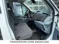 Ford Transit 9Sitz+Lift+SthZ+PDC Bianco - thumbnail 8