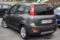 Fiat Panda 1.0 FireFly S&S Hybrid City Life *CLIMA AUT*5 POST Grigio - thumbnail 4