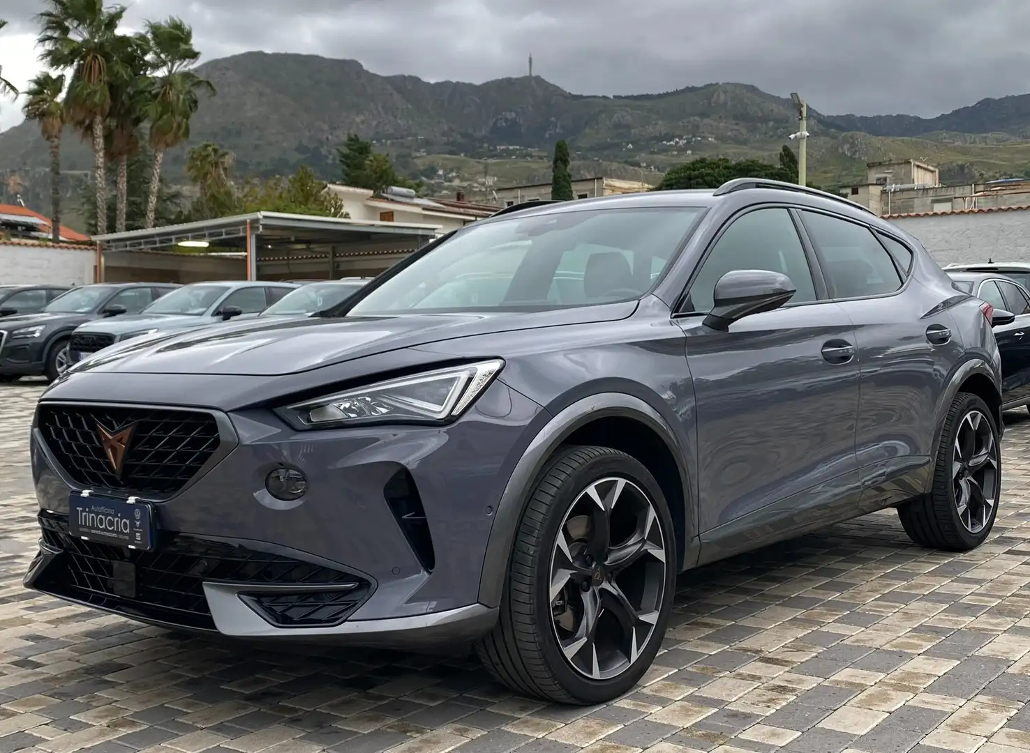 CUPRA Formentor 2.0 TDI 150CV DSG 4drive Grau - 1