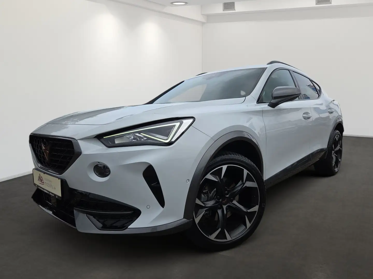 CUPRA Formentor 4DRIVE TDI DSG ACC+BEATS+KAMERA+KEYLESS+NAVI+APP+1 Weiß - 2