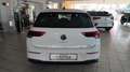 Volkswagen Golf VIII 1,5 eTSI Life DSG + Navi + App Connect Weiß - thumbnail 9