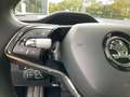 Skoda Enyaq iV 80 Loft Pano Navi Kamera Memory LED ACC Blau - thumbnail 21
